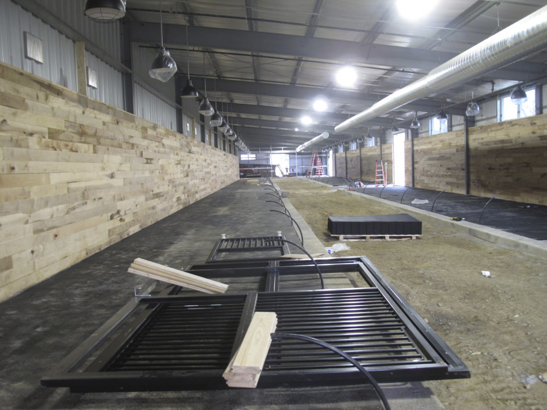 Work on 3M equestrian center nearly finished News, Sports, Jobs